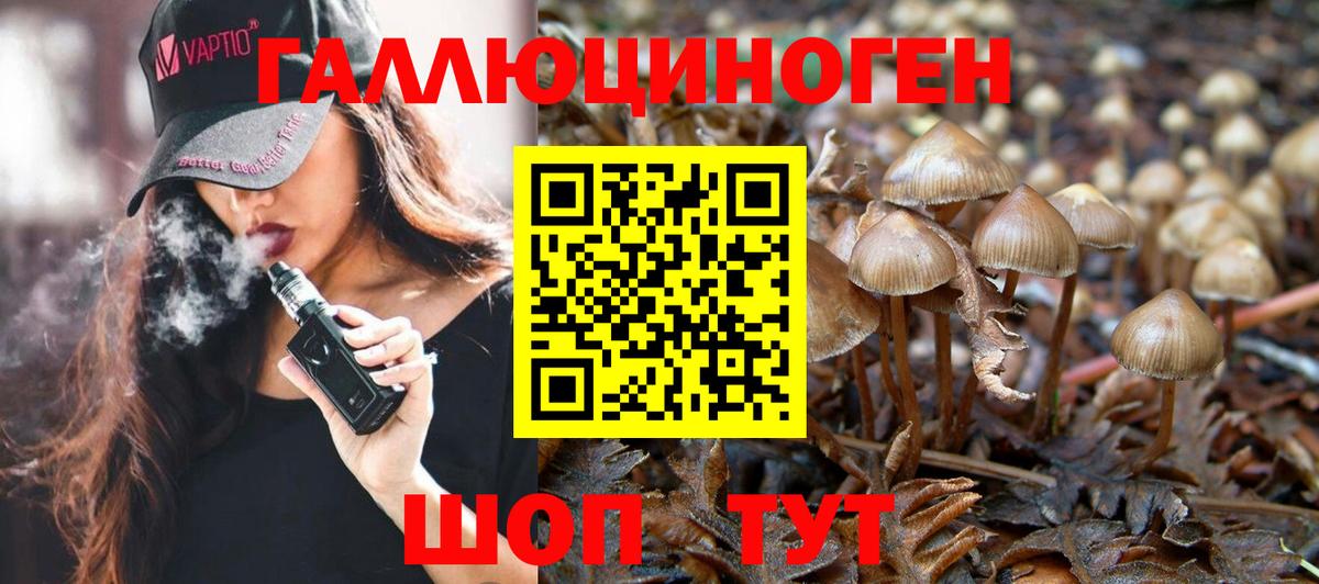 Слободской  Псилоцибиновые грибы MAGIC MUSHROOMS  Вход с VPN  Галлюциногенные грибы Magic Shrooms 